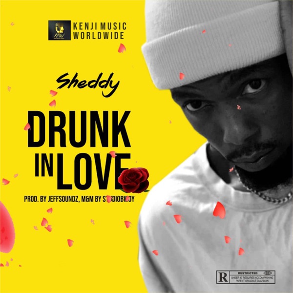 Sheddy - Drunk In Love
